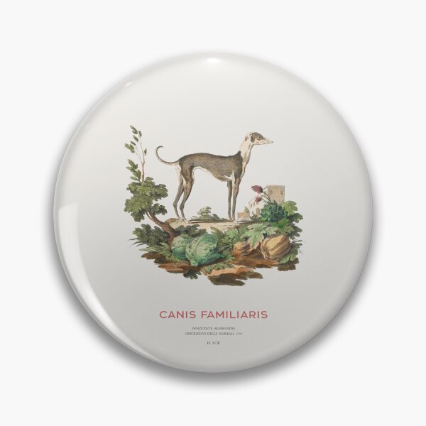 Item preview, Italian Greyhound - Antique Sighthound Engraving designed and sold by Vintagrafica.