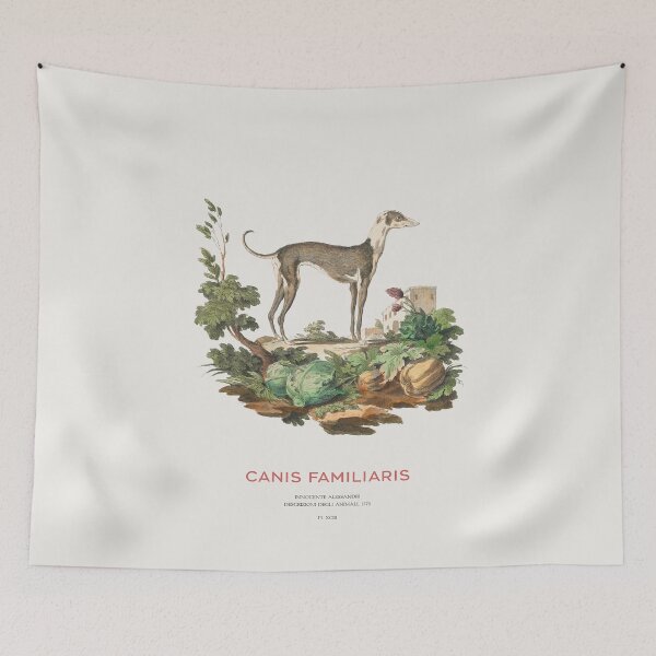 Item preview, Italian Greyhound - Antique Sighthound Engraving designed and sold by Vintagrafica.