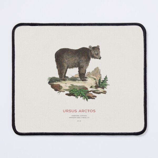 Item preview, Antique Brown Bear Drawing designed and sold by Vintagrafica.