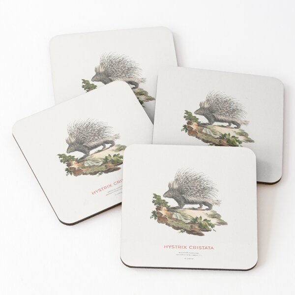 Item preview, Minimalist Crested Porcupine Scientific Illustration designed and sold by Vintagrafica.