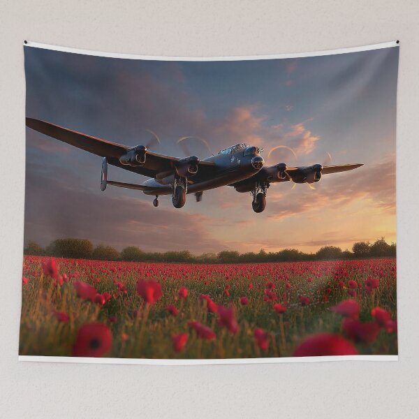Item preview, Lancaster Poppy Approach designed and sold by Skyframe Aviation.