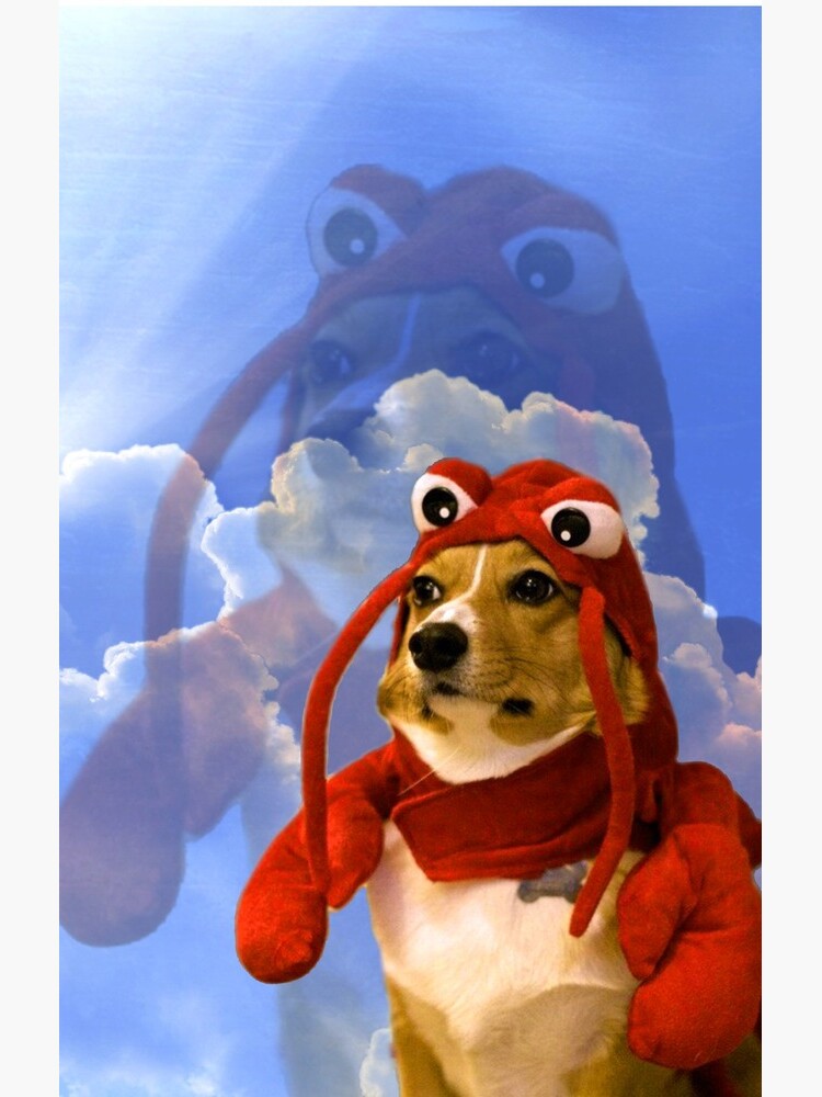 Lobster Corgi, Doggo #1 by Elisecv