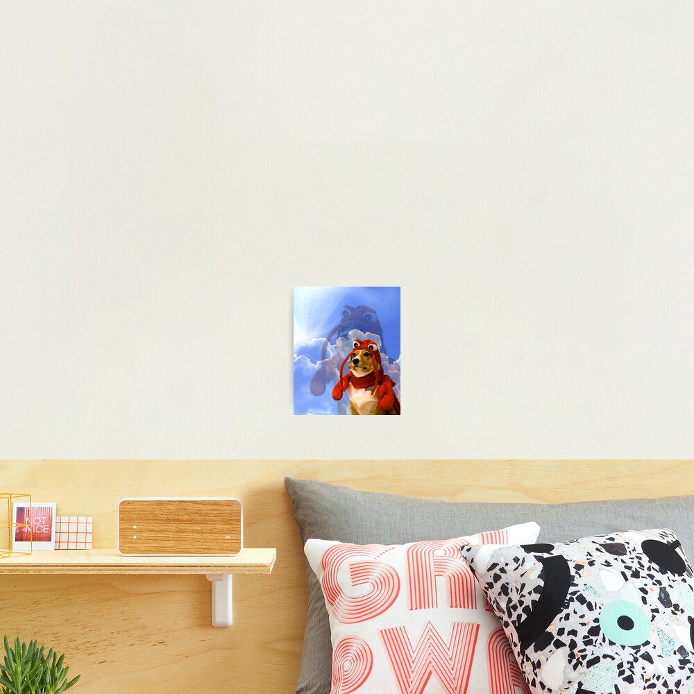 Lobster Corgi, Doggo #1 Photographic Print