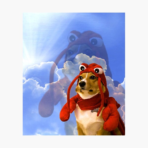 Lobster Corgi, Doggo #1 Photographic Print