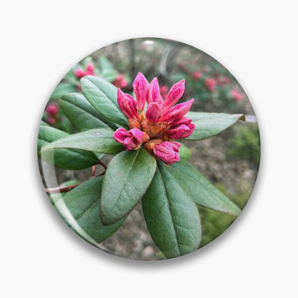 Item preview, Rhododendron Bloom designed and sold by Lana Magnolia.