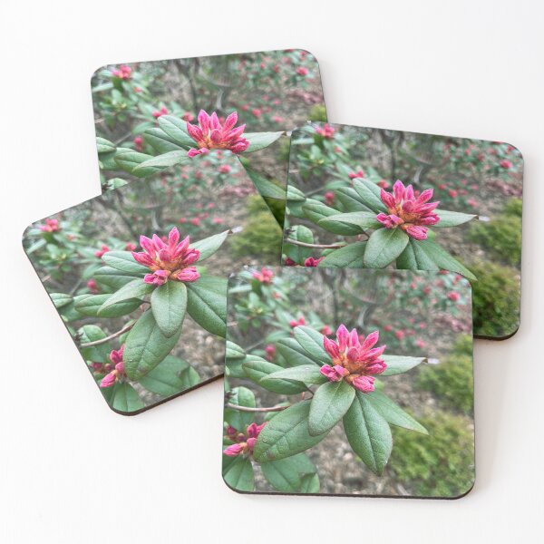 Item preview, Rhododendron Bloom designed and sold by Lana Magnolia.