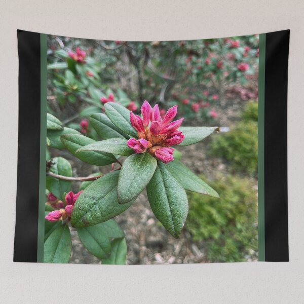 Item preview, Rhododendron Bloom designed and sold by Lana Magnolia.