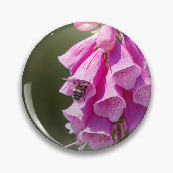 Item preview, Abeja y Lupin designed and sold by pairlee.