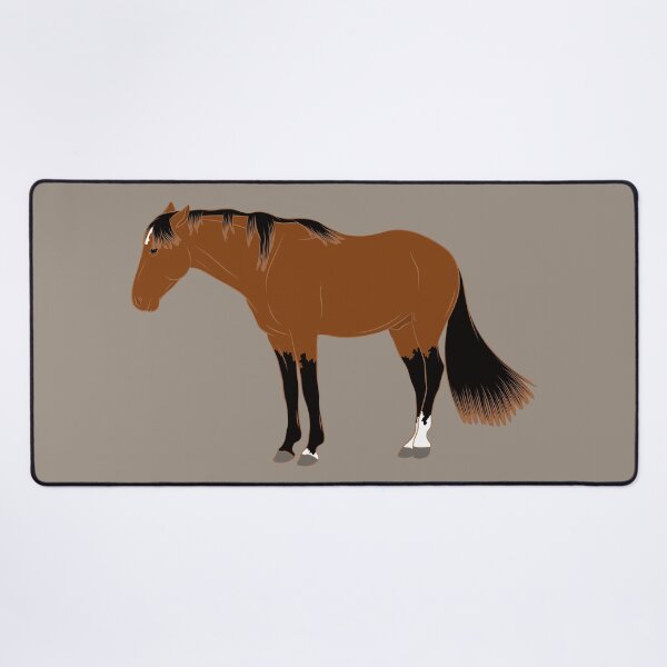 Aperçu de l'œuvre Cheval de Namibie, cheval sauvage, cheval bai, races de chevaux de la Namibie créée et vendue par WebEquitation®.