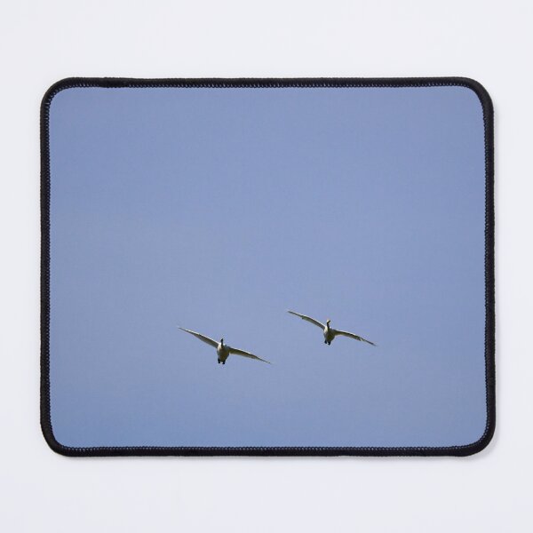 Item preview, Whooper swan minimalistic pair flight designed and sold by Jouko Lehto Photography.