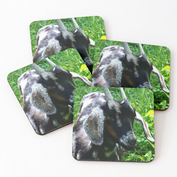 Item preview, Black goat designed and sold by McFleur's Lens.