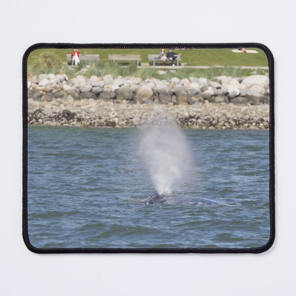 Item preview, Gray Whale designed and sold by LaurenTucker.