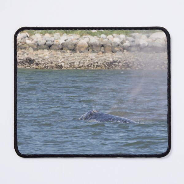 Item preview, Gray Whale designed and sold by LaurenTucker.