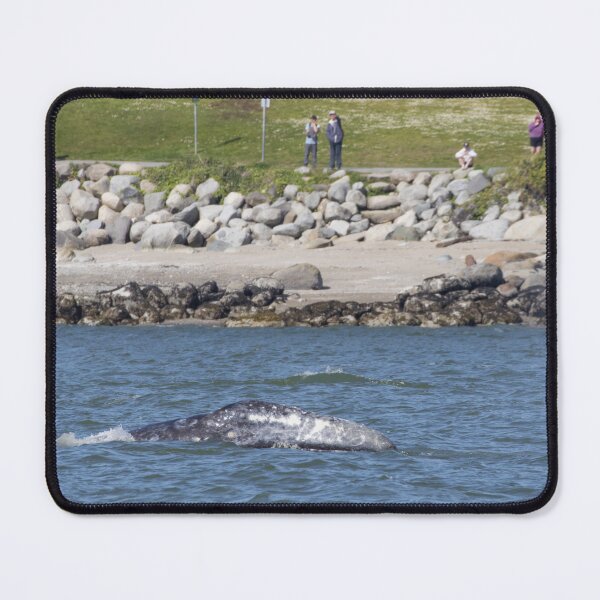 Item preview, Gray Whale designed and sold by LaurenTucker.