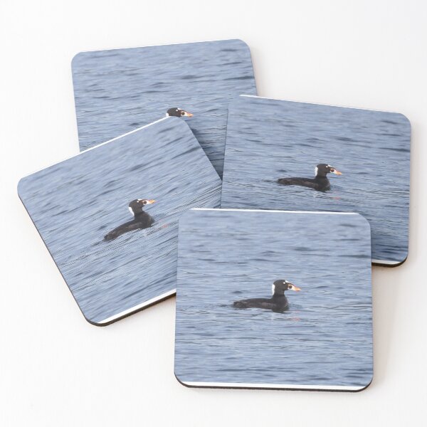Item preview, Surf Scoter designed and sold by LaurenTucker.