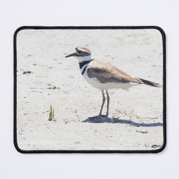 Item preview, Killdeer designed and sold by LaurenTucker.
