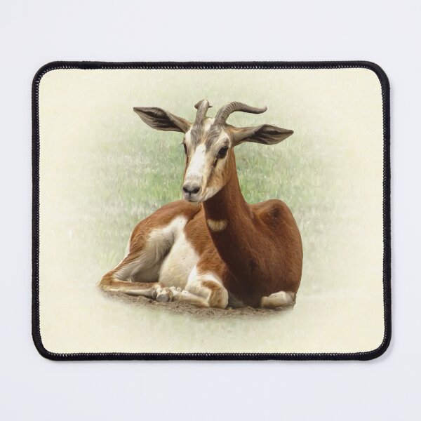 Item preview, Dama Gazelle designed and sold by Guardi71.