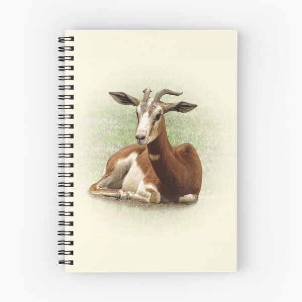 Item preview, Dama Gazelle designed and sold by Guardi71.