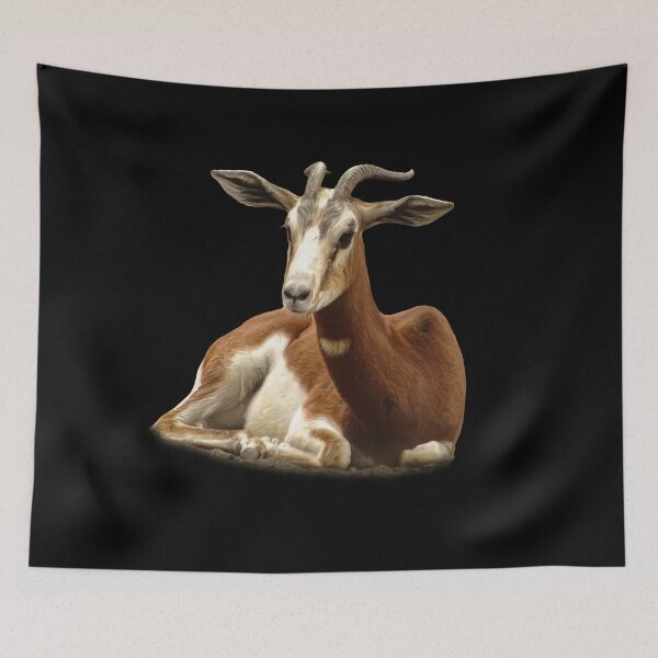 Item preview, Dama Gazelle designed and sold by Guardi71.