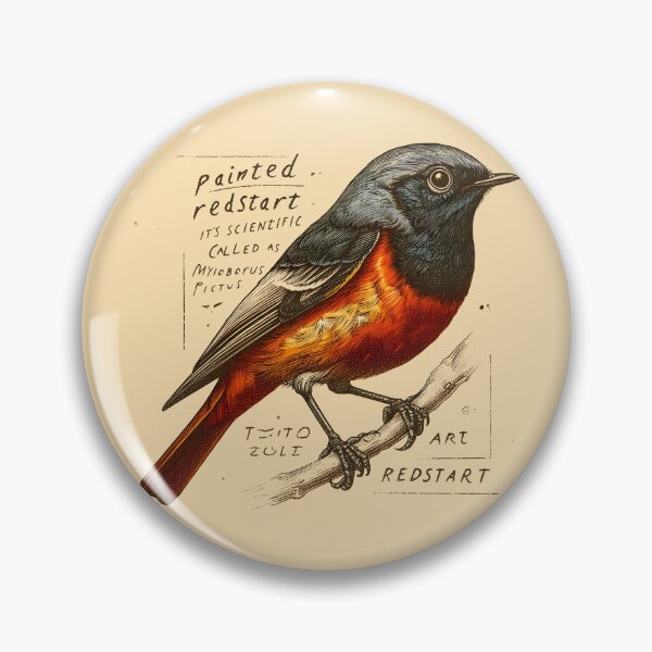 Item preview, Painted Redstart 4 designed and sold by theAVIARY7.