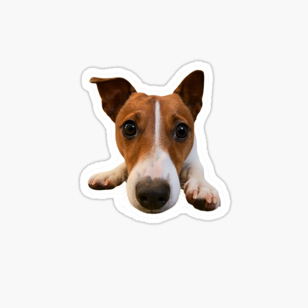 Item preview, Jack russell love designed and sold by C.T. Photography.
