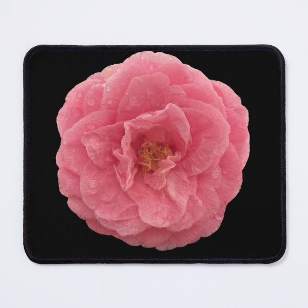 Item preview, Rosy Ruffles designed and sold by ascherf.
