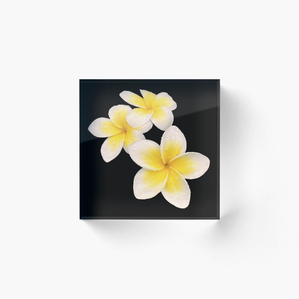 Item preview, Acrylic Block designed and sold by ascherf.