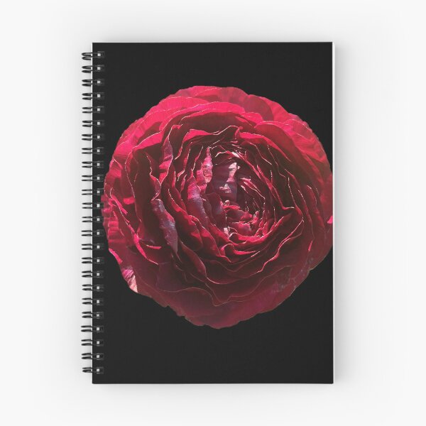 Item preview, Crimson Ranunculus designed and sold by ascherf.