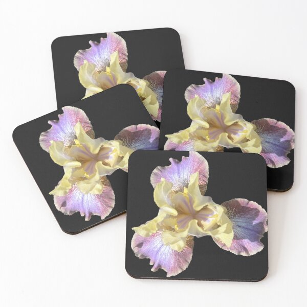 Item preview, Multicolor Iris designed and sold by ascherf.