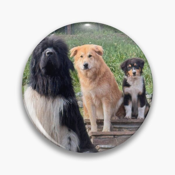 Item preview, Me and my two dads designed and sold by soquelowen.