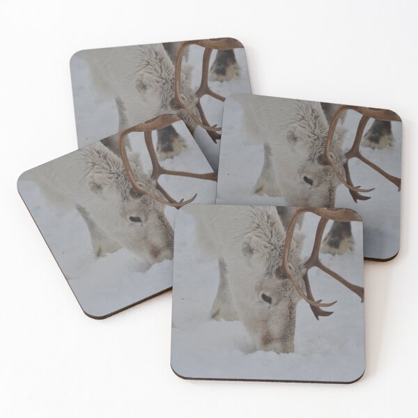 Item preview, Reindeer Foraging In The Snow designed and sold by Malcolm Snook.