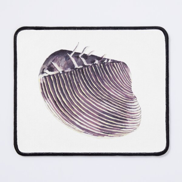 Item preview, Venus Shell Painting – Beach-Inspired Art  designed and sold by Secretos de Sirenas by Julie Helson.