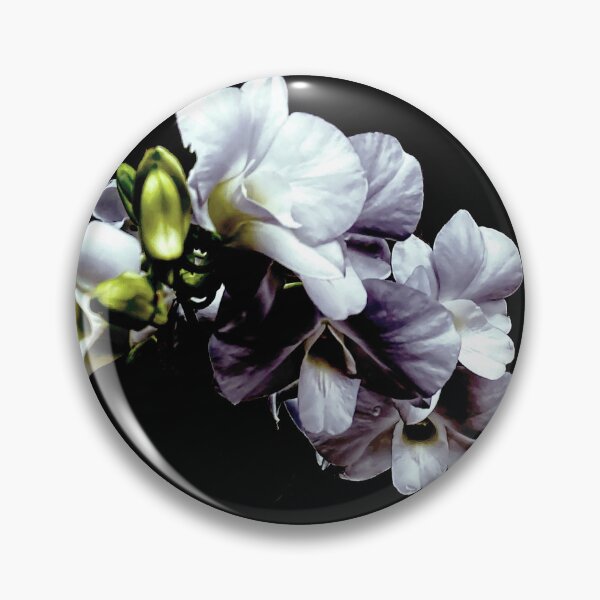 Artikelvorschau, Weiße Orchideenblütenfotografie – Hellgrün & Blassblau-Grau auf schwarzem Hintergrund, elegante florale Wandkunst für die Inneneinrichtung entworfen und verkauft von Gulnaz Turdalieva.