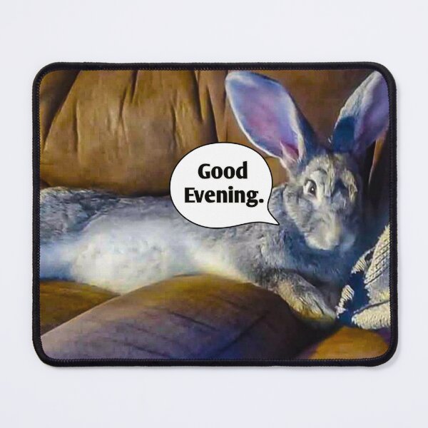 Item preview, Funny Bunny designed and sold by J+J Photography.