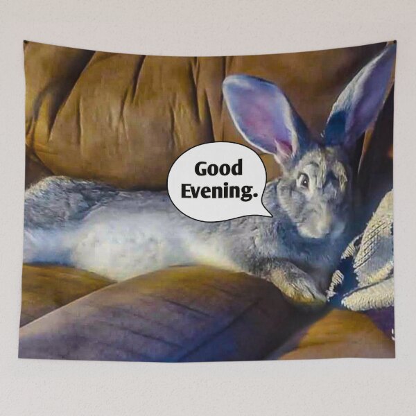 Item preview, Funny Bunny designed and sold by J+J Photography.