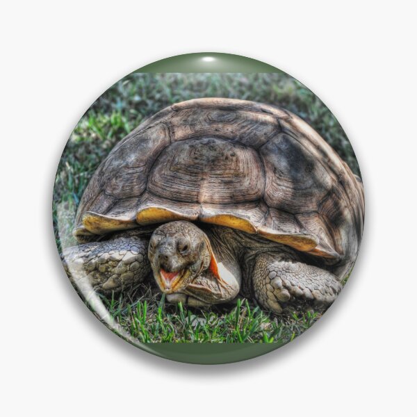 Item preview, Giant Tortoise designed and sold by Savannah Gibbs.