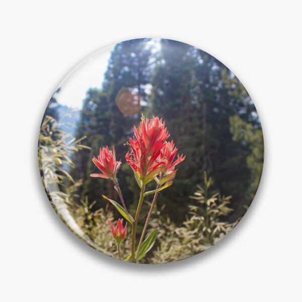 Item preview, indian paint brush designed and sold by The Artful Finch.