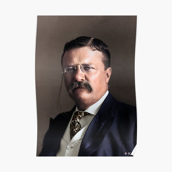 "President Theodore Roosevelt, 1904 Colorized" Poster For Sale By KAI ...