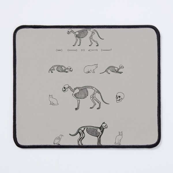 Item preview, Dinosaur skulls designed and sold by Klaerika.