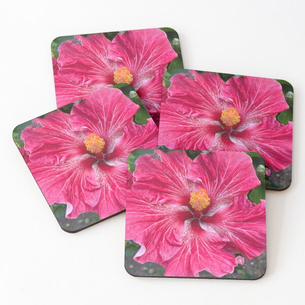 Item preview, Pink Hibiscus! designed and sold by Kymbo.