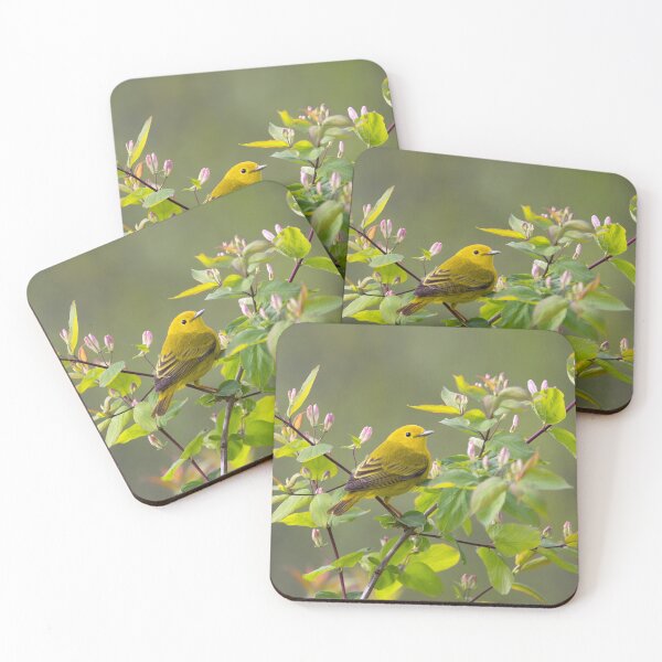 Item preview, Yellow Warbler designed and sold by James Cumming.