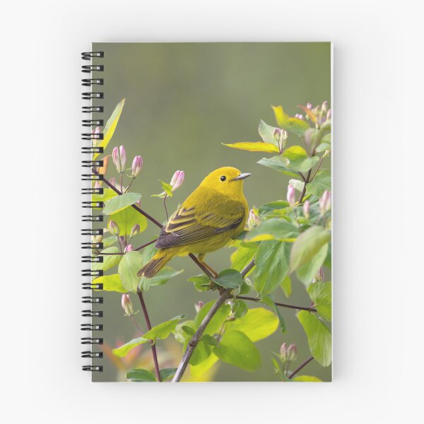 Item preview, Yellow Warbler designed and sold by James Cumming.