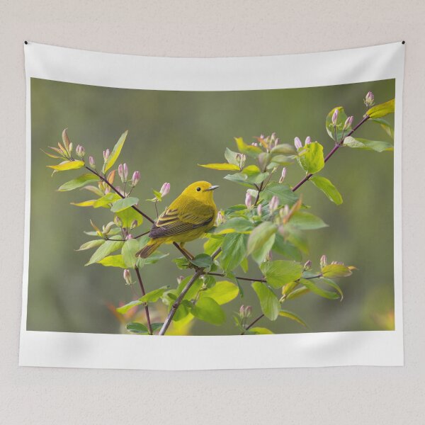 Item preview, Yellow Warbler designed and sold by James Cumming.