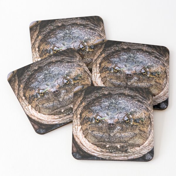 Item preview, LLP Canada Collection Snapping Turtle  designed and sold by LokoLifePhotography.