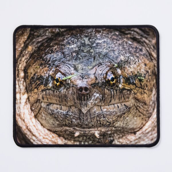 Item preview, LLP Canada Collection Snapping Turtle designed and sold by LokoLifePhotography.