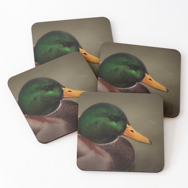 Item preview, Mallard Duck on Wascana Lake designed and sold by timdaytimages.
