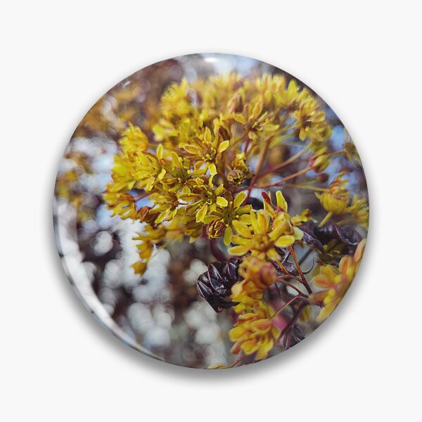 Item preview, Overlooked Flowers designed and sold by Betsy Phillips.