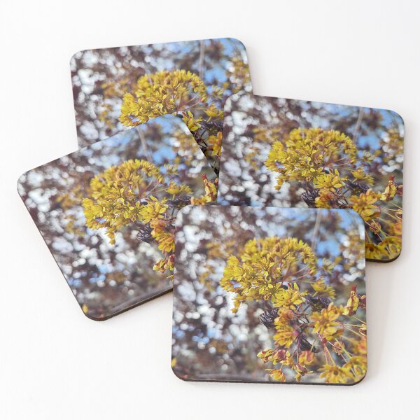 Item preview, Overlooked Flowers designed and sold by Betsy Phillips.