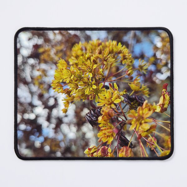 Item preview, Overlooked Flowers designed and sold by Betsy Phillips.