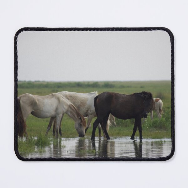 Item preview, Follow The Leader designed and sold by mistyponiesgiftshop.